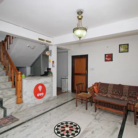 Oyo 8878 Chinar Lake View-3