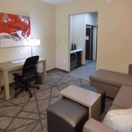 Comfort Inn & Suites Houston I-45 North - Iah-2