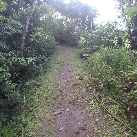 Arenal Xilopalo-3