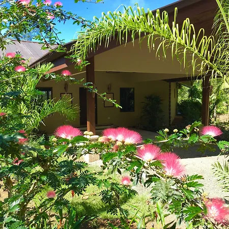 Golden Pineapple Villas-Adults Only-3