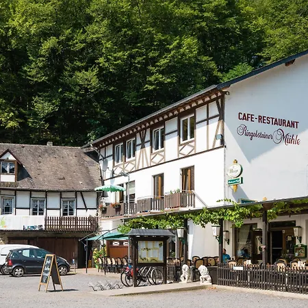 Landhotel Ringelsteiner Muehle-2