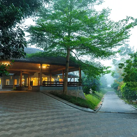 Sterling Wayanad-2