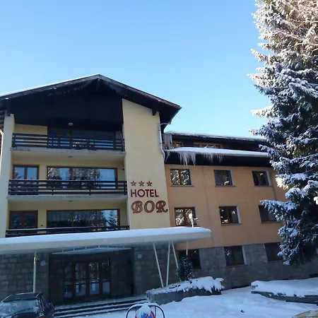 Hotel Bor-3