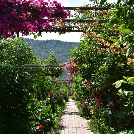 Lemon Garden Lodge-3