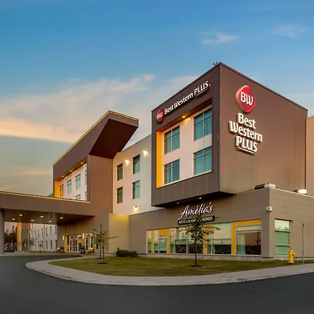 Best Western Plus St. John'S Airport Hotel And Suites-2