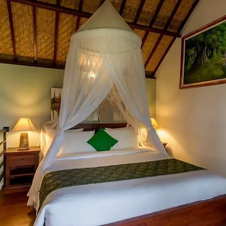 Sisin Ubud View-2