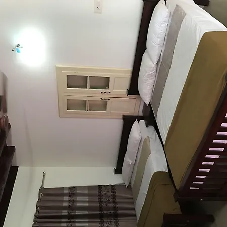 Palm Rivera Kochi-3