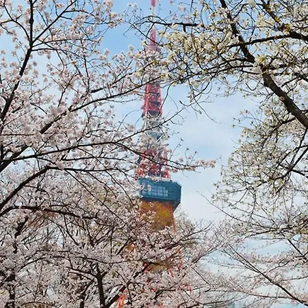Tokyo Tower View Guest House-3