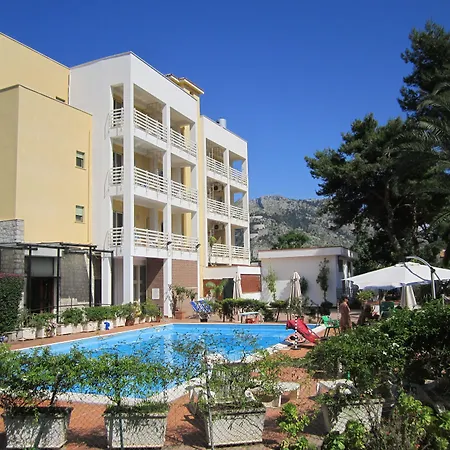 Hotel Conchiglia D'Oro-2