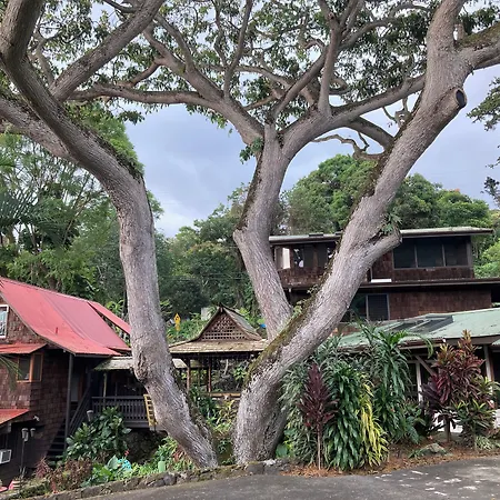 Hale Maluhia Country Inn-3