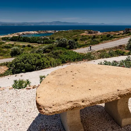 Aika Akvaryum-3