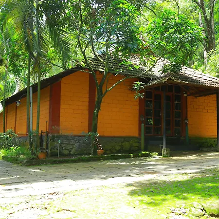 Blue Ginger Resort-3