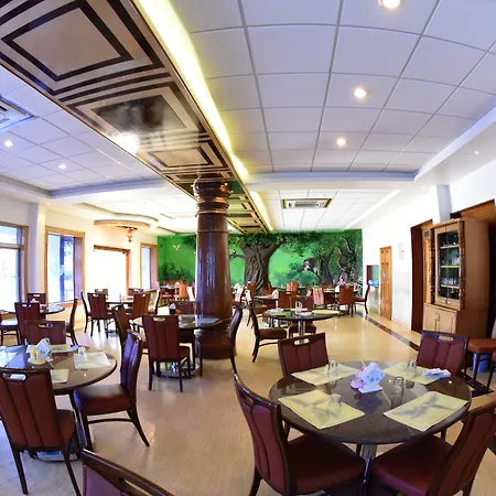 Hotel Sharada International-3
