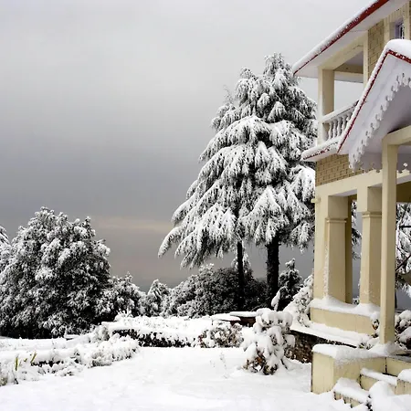 Tree Of Life Grand Oak Manor, Binsar-2