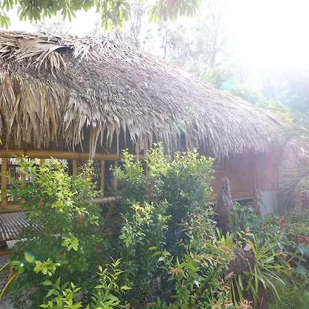 Satun Dive Resort-2