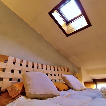 Dreaming Arena Rooms-2