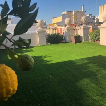 200 Rooms & Terrace-3