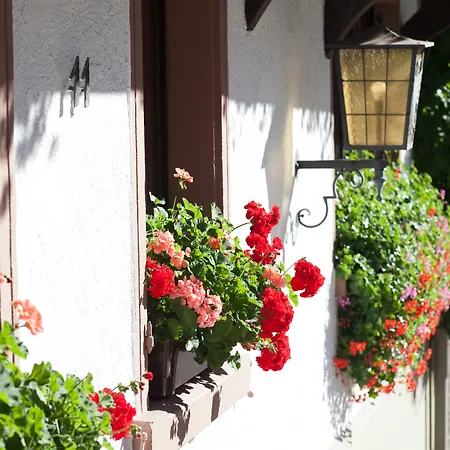Hotel Gasthaus Adler-3