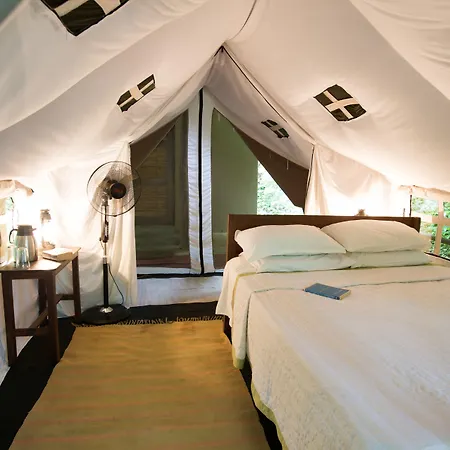 Tiger Tops Tharu Lodge-2