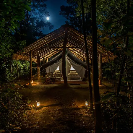 Tiger Tops Tharu Lodge-2