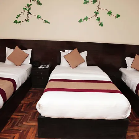 Hotel Thamel Park-2