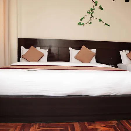 Hotel Thamel Park-3