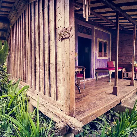 Dragonfly Village-3
