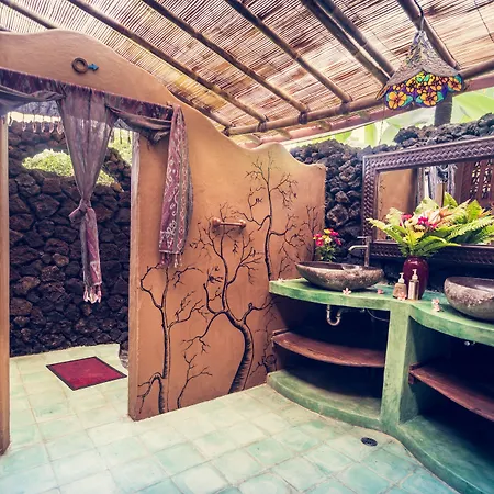 Dragonfly Village-3