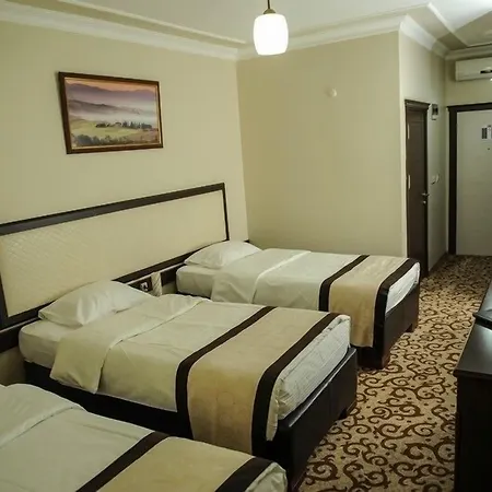 Teona Hotel-2