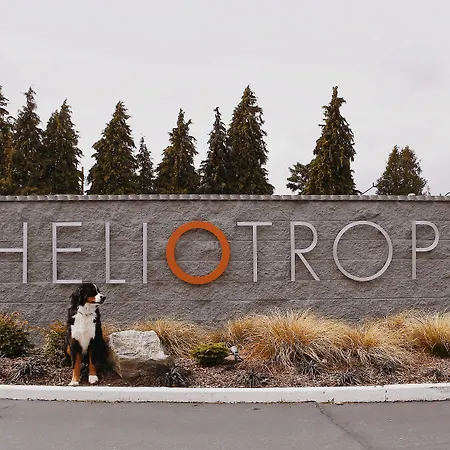 Heliotrope Hotel-2