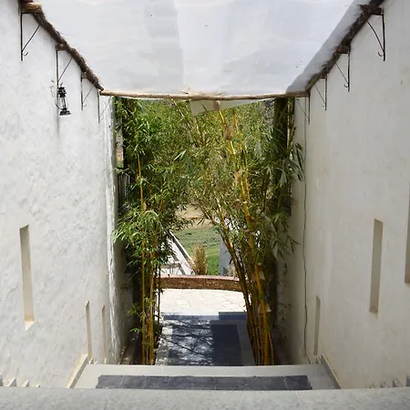 Kumbhalgarh Forest Retreat-3
