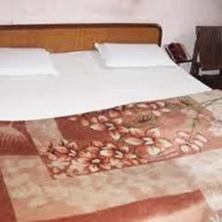Mini Moti Mahal By Mtmc Rooms-3