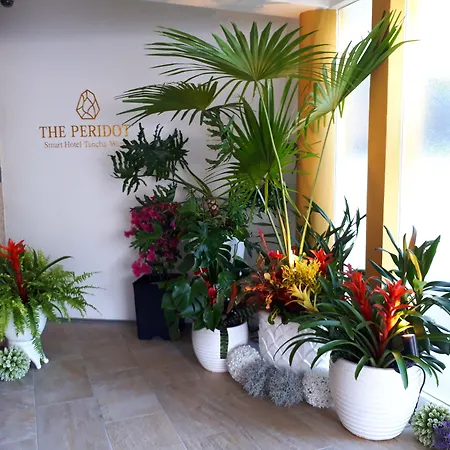 The Peridot Smart Hotel Tancha Ward-2