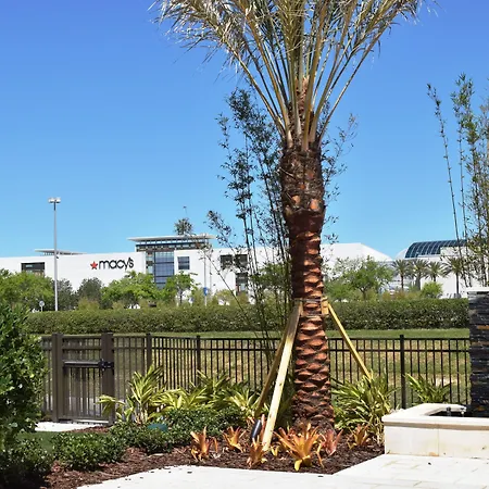 Residence Inn By Marriott Orlando At Millenia-3