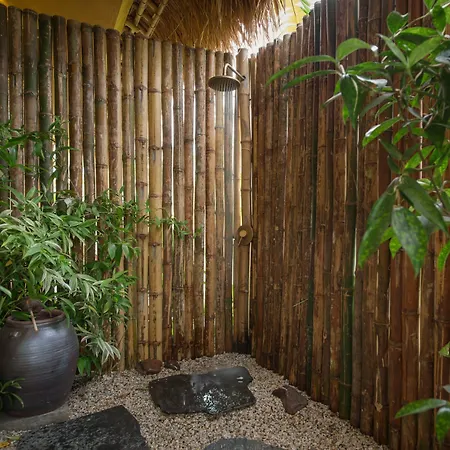 Alba Wellness Resort By Fusion-2