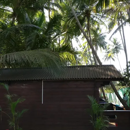 The Cool Huts-2