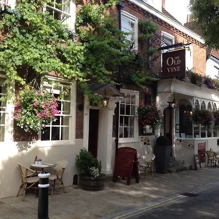 The Old Vine-3