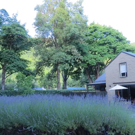 Shades Of Arrowtown-3