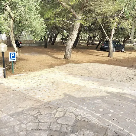 Residence Conchiglia San Giovanni-3