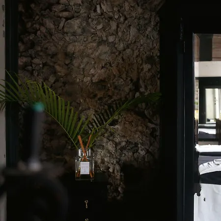 Coqui Coqui Casa De Los Santos Izamal - The Only One Suite Collection-2