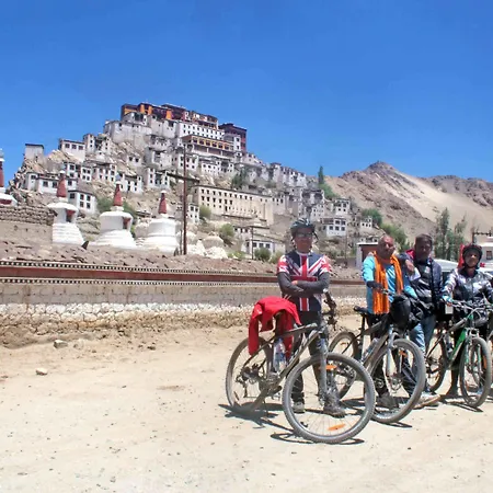 The Driftwood Ladakh-2