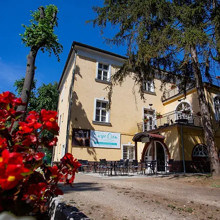 Hotel Carpe Diem-2