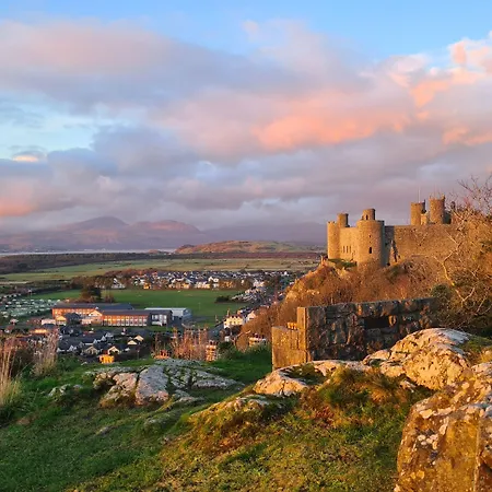 Y Branwen Restaurant & Rooms - Adult Only And Dog Friendly-2