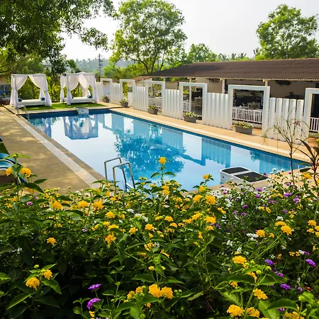 White Wood Resort By Stone Wood Hotels-3
