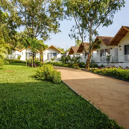 White Wood Resort By Stone Wood Hotels-2