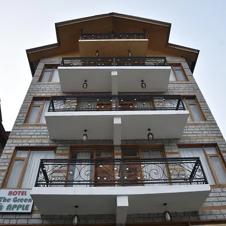 Oyo 10255 Hotel Red Apple-2
