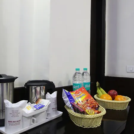 Hotel Hill Palace -Near Karol Bagh Metro Station-2