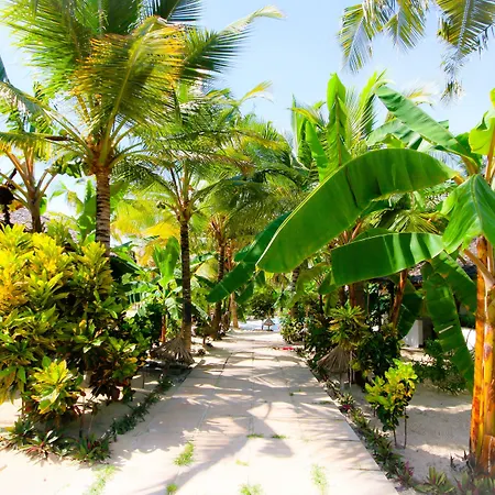 Blue Moon Resort-3