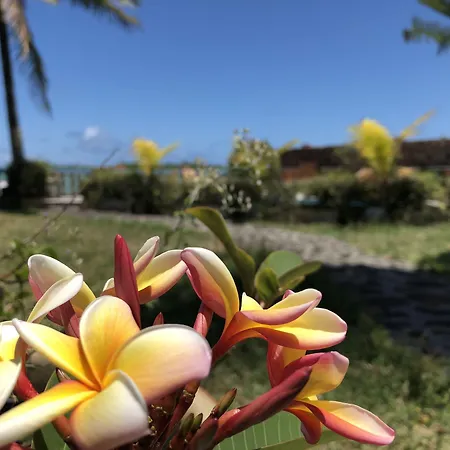 Coco Villa-3