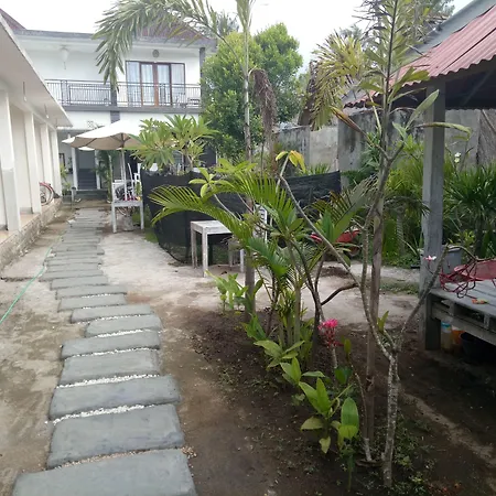 Palm Trees Villas-2